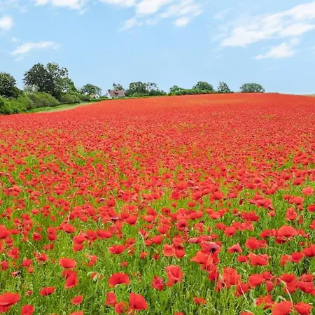 Feriehus Fh Seidenstuecker